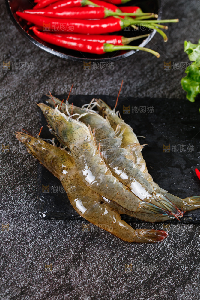 深底上的青岛大虾
