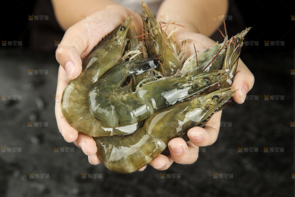 手里拿着青岛大虾