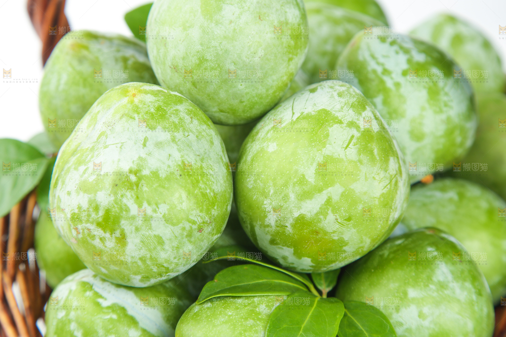 白底上的奈李