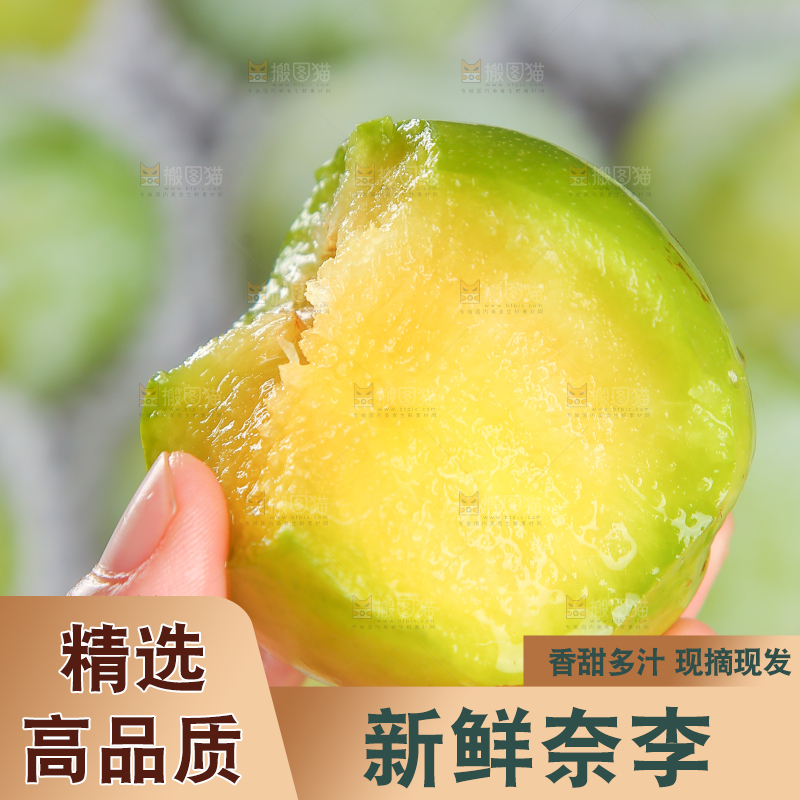浅底上的奈李