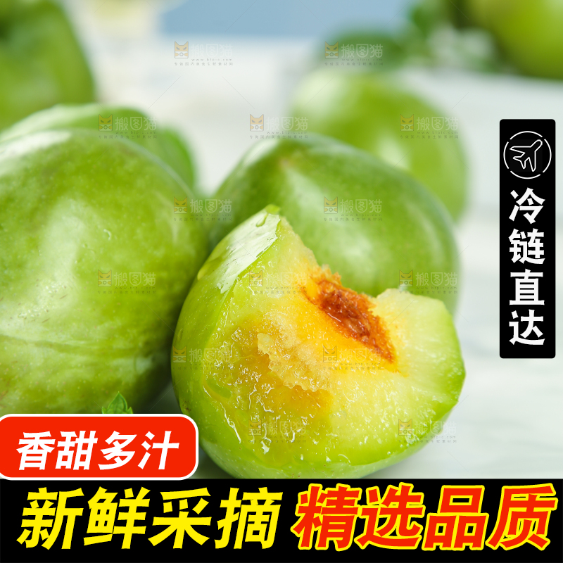 浅底上的奈李