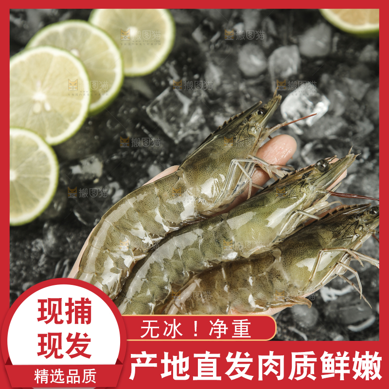 手里拿着青岛大虾