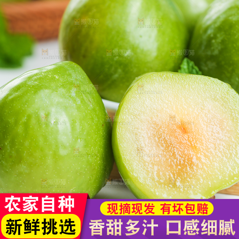 浅底上的奈李