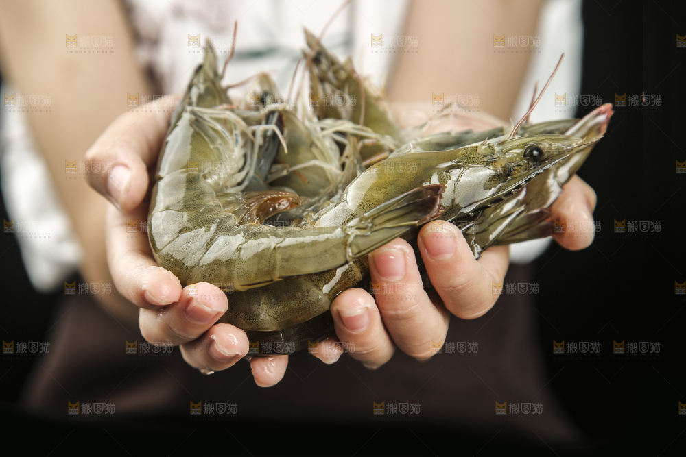 手里拿着青岛大虾