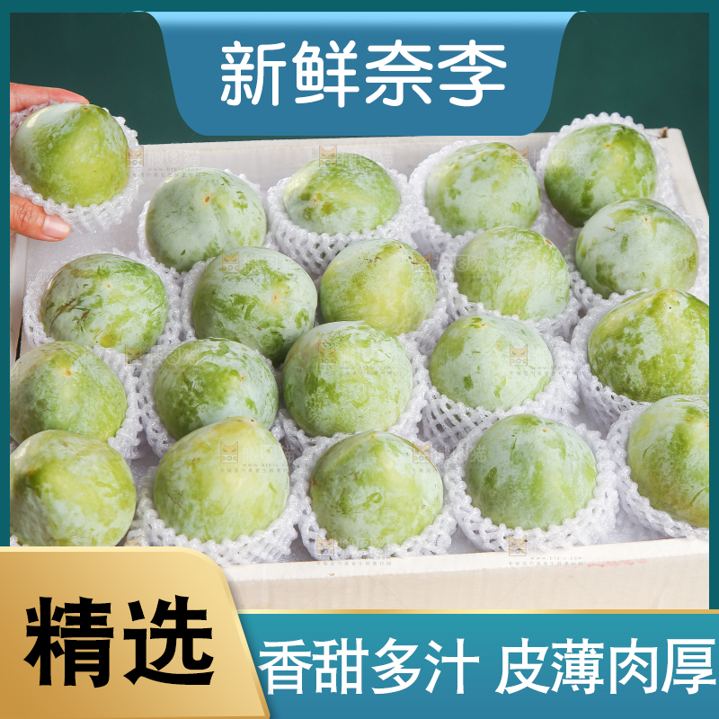 浅底上的奈李
