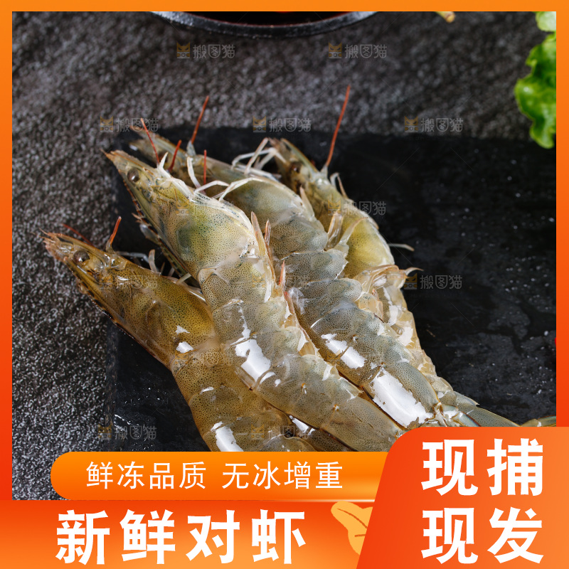 深底上的青岛大虾