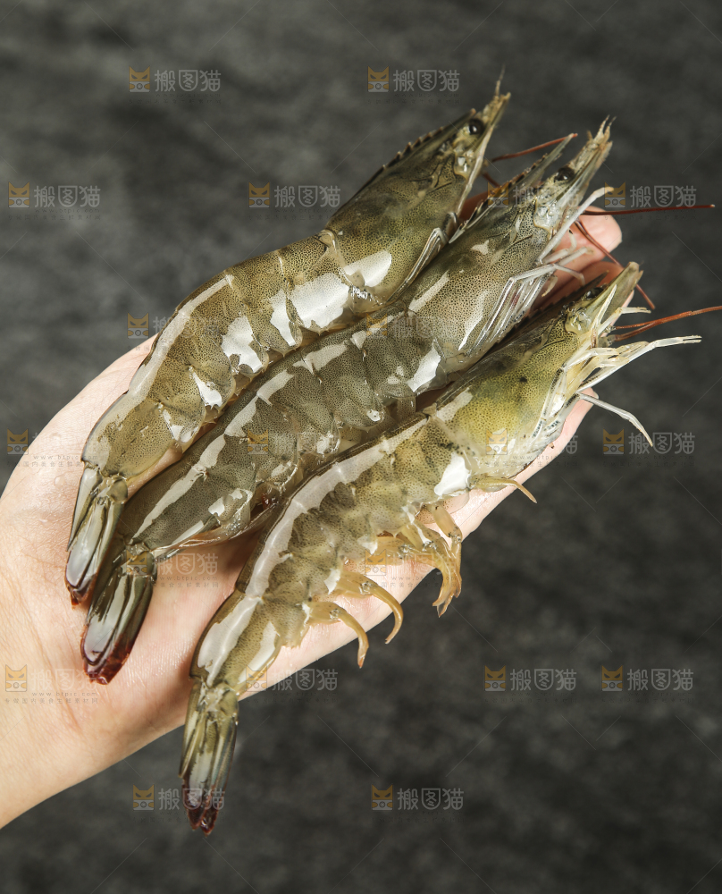 手里拿着青岛大虾