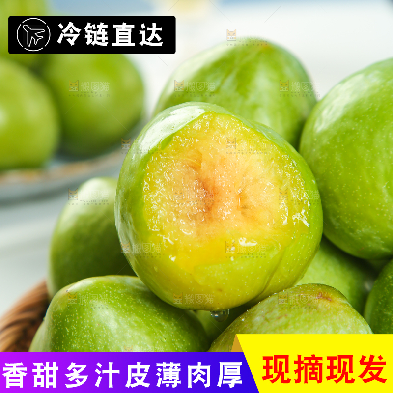 浅底上的奈李