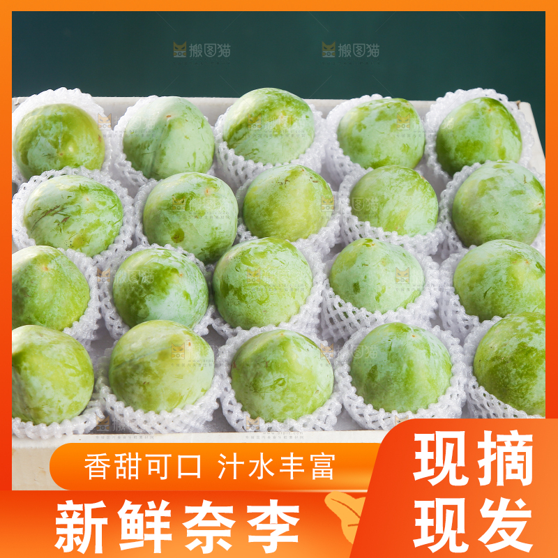 浅底上的奈李