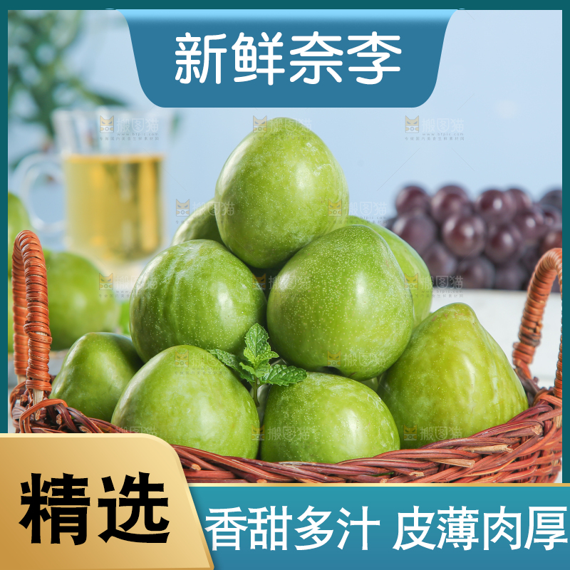浅底上的奈李