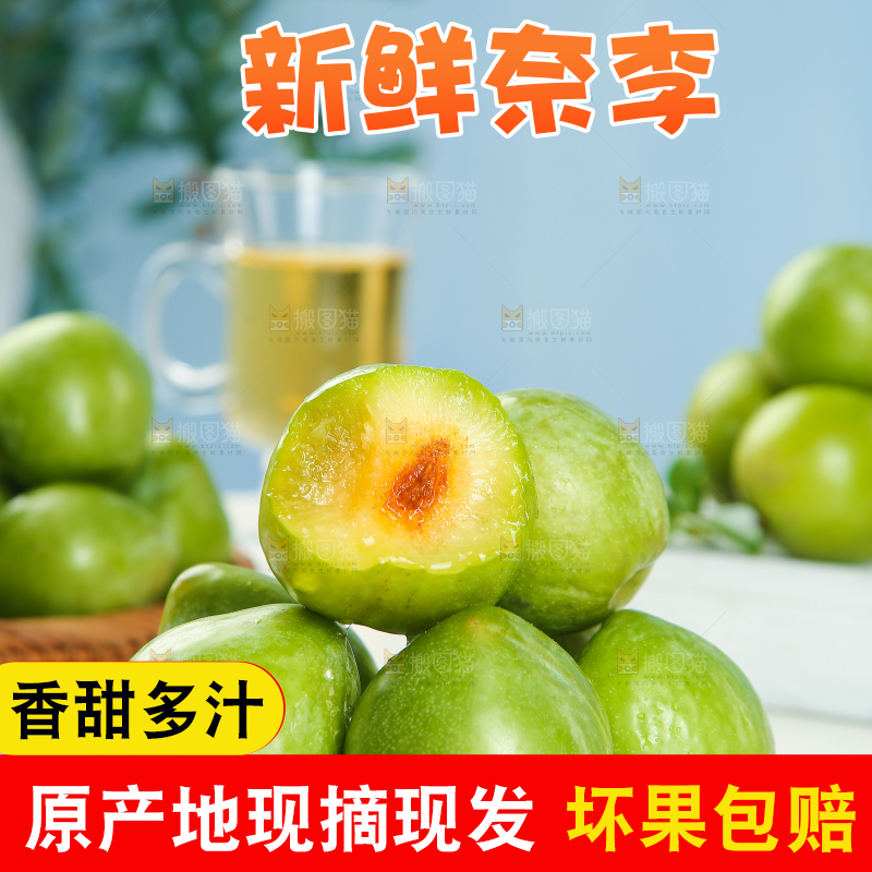 浅底上的奈李