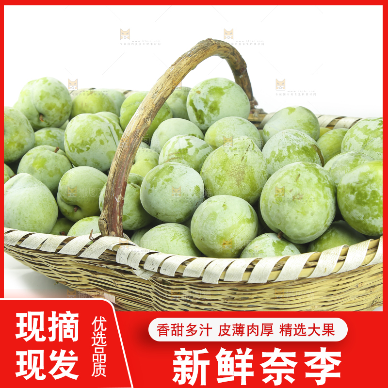 白底上的奈李