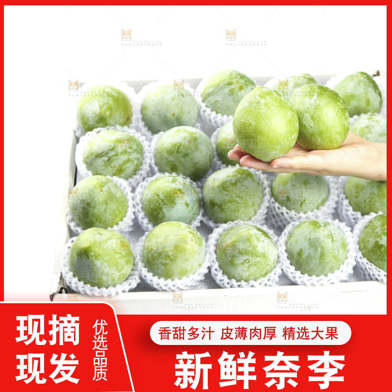 白底上的奈李