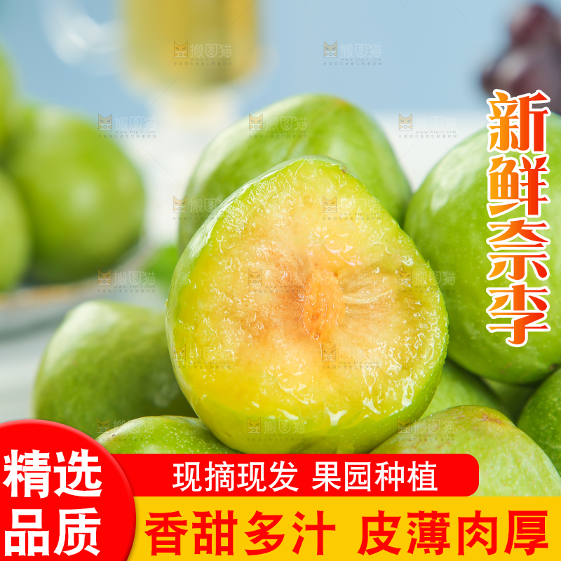 浅底上的奈李