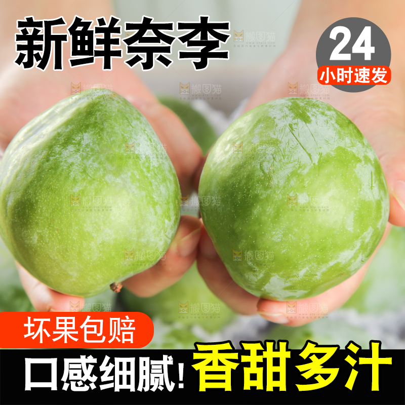 浅底上的奈李