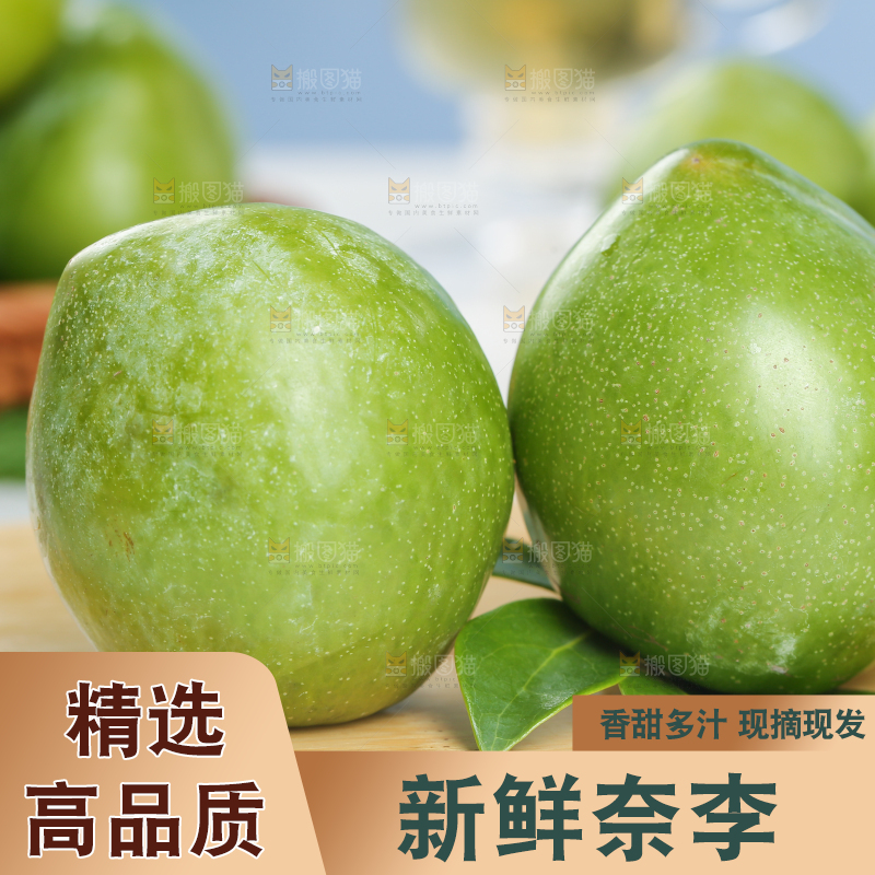 浅底上的奈李
