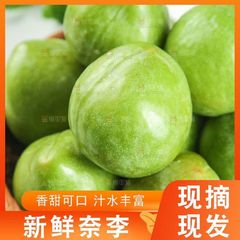 浅底上的奈李