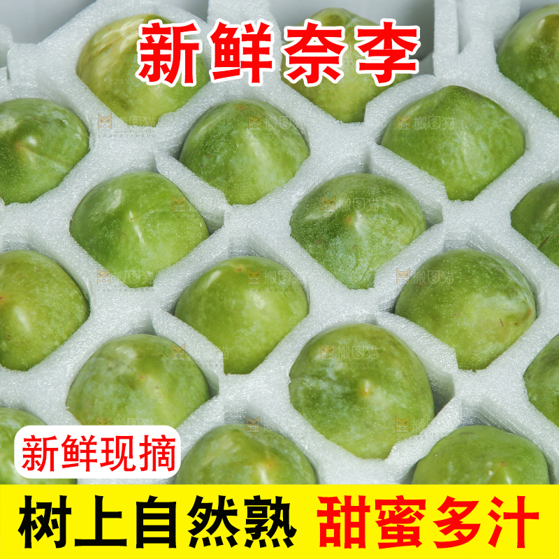 浅底上的奈李