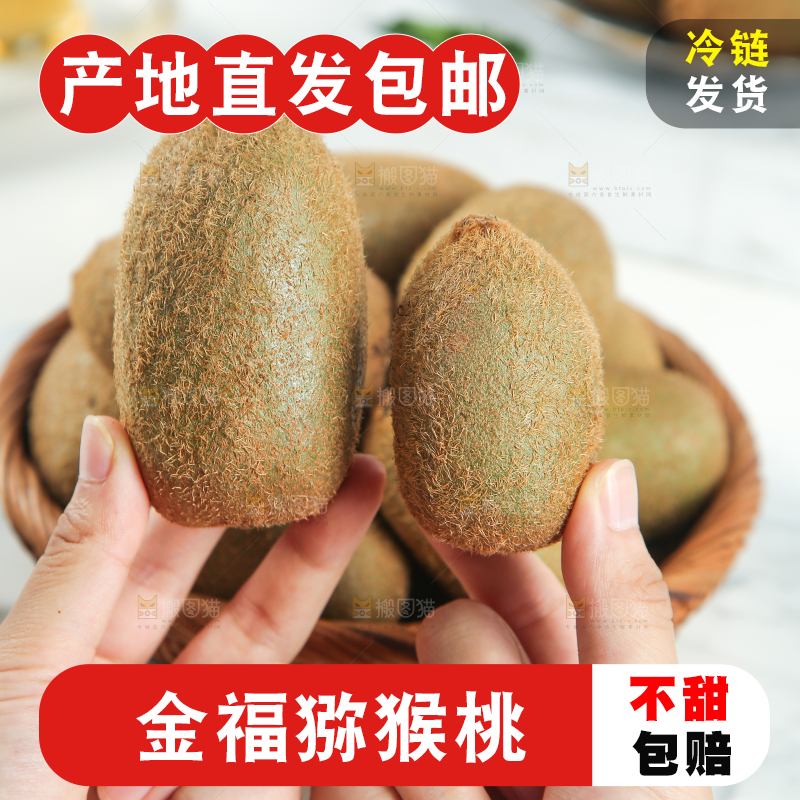 浅底上的猕猴桃