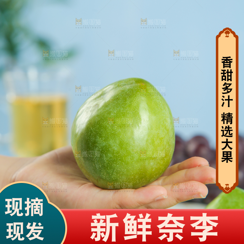 浅底上的奈李