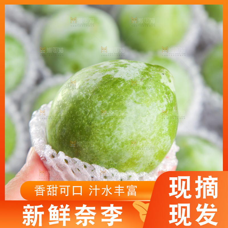 浅底上的奈李
