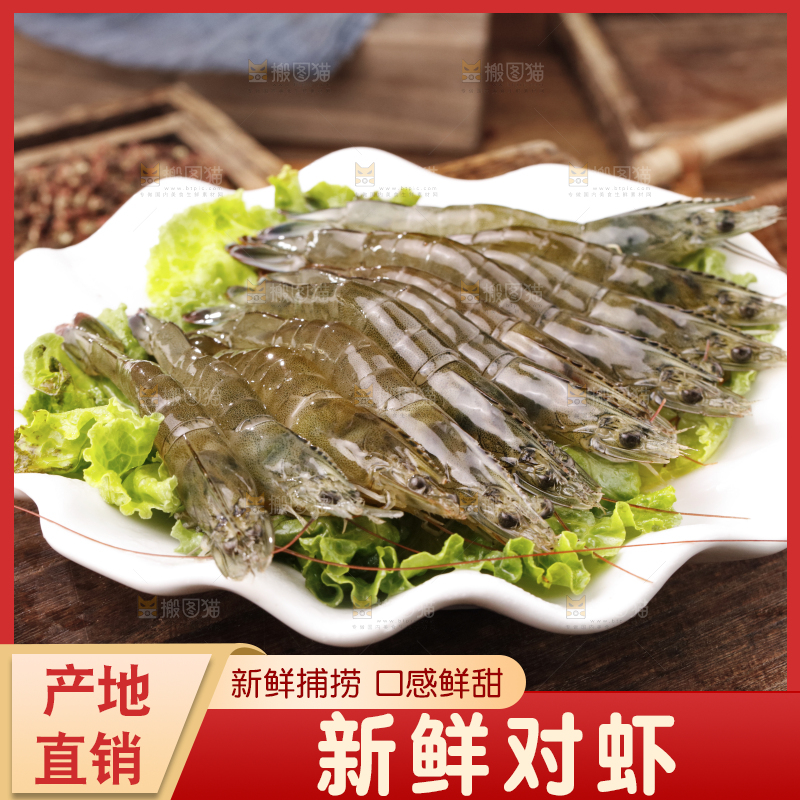 深底上的青岛大虾