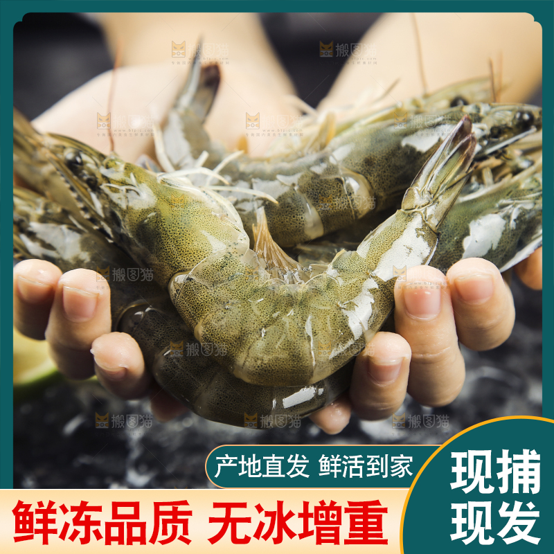 手里拿着青岛大虾