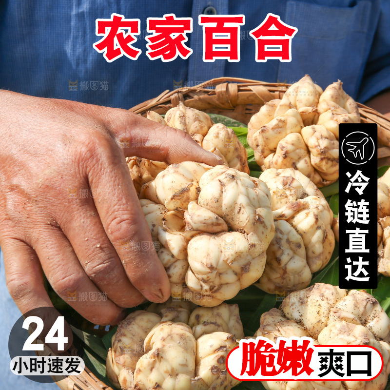 手里拿着新鲜百合