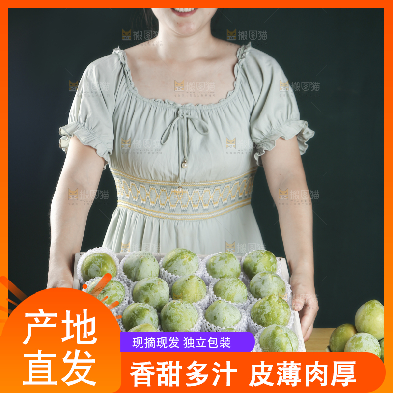 浅底上的奈李