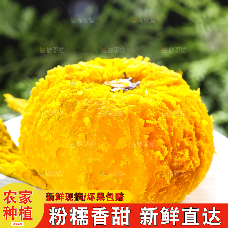 深底上的贝贝南瓜