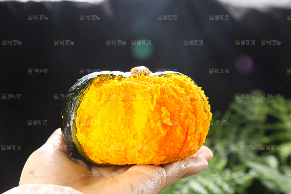 深底上的贝贝南瓜