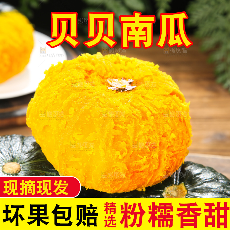 贝贝南瓜