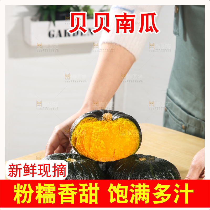 贝贝南瓜