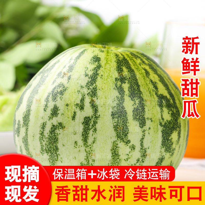 浅底上的花蕾甜瓜
