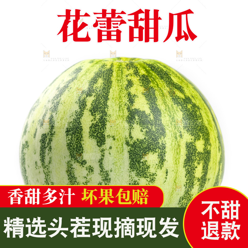 白底上的花蕾甜瓜