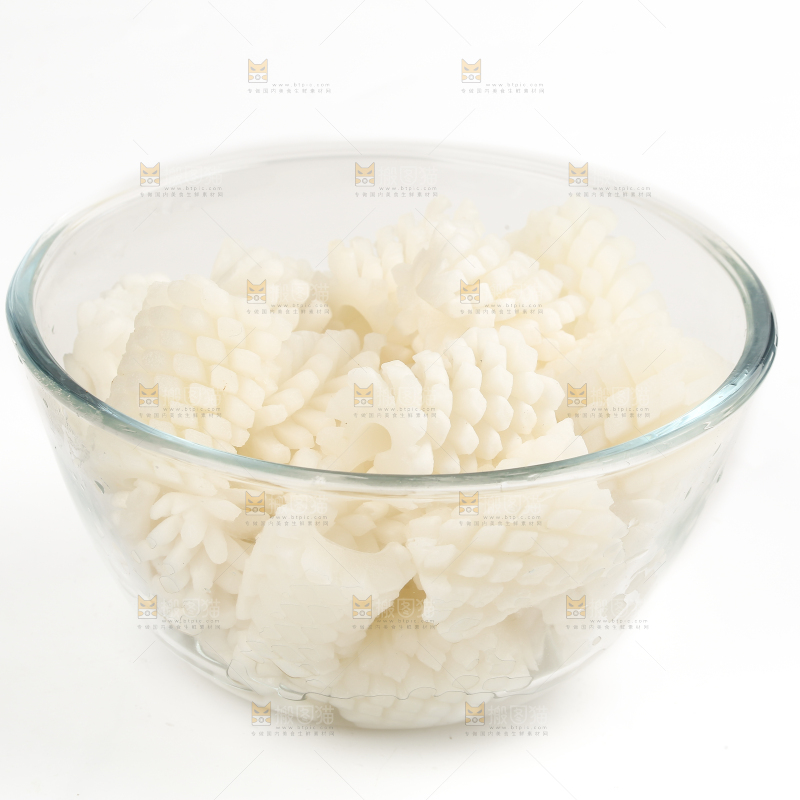 白底上的鱿鱼花