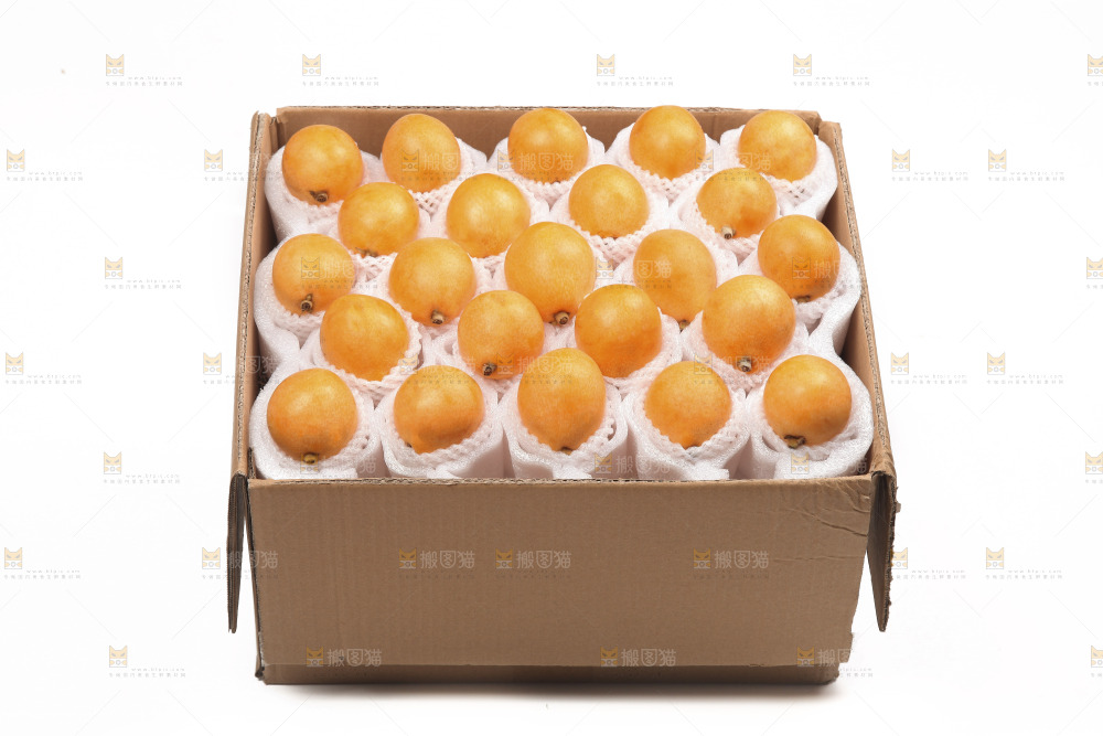 白底上的新鲜枇杷