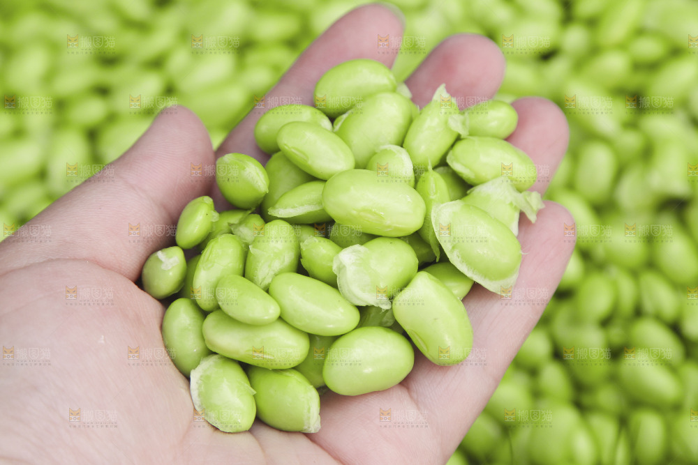 深底上的毛豆