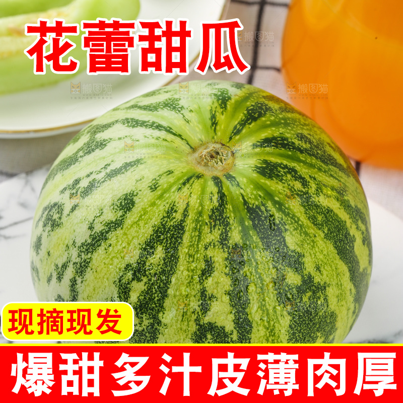 浅底上的花蕾甜瓜