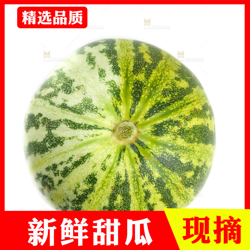 白底上的花蕾甜瓜