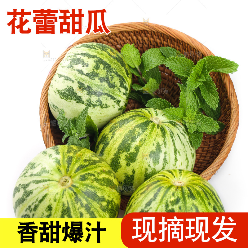 白底上的花蕾甜瓜