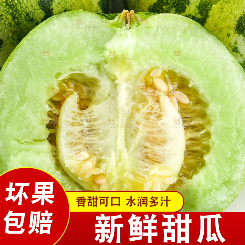 白底上的花蕾甜瓜