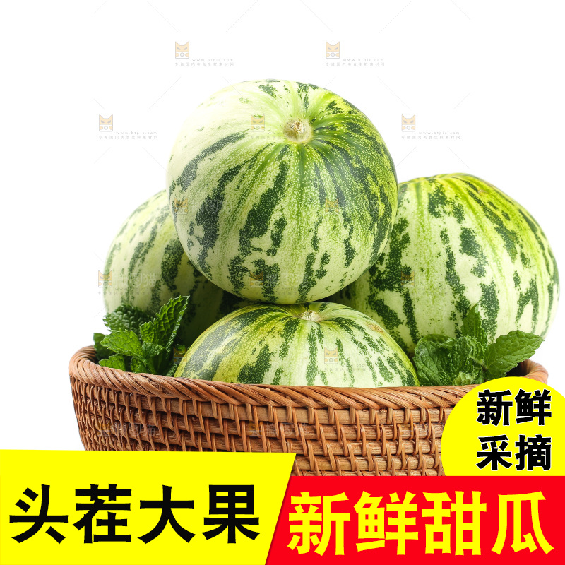 白底上的花蕾甜瓜