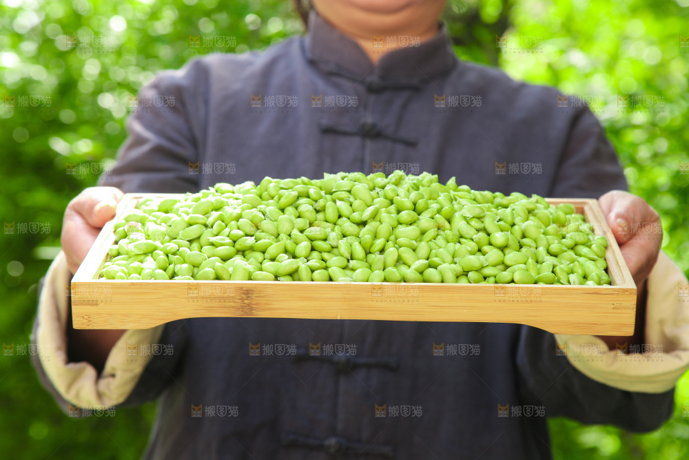 手里拿着毛豆