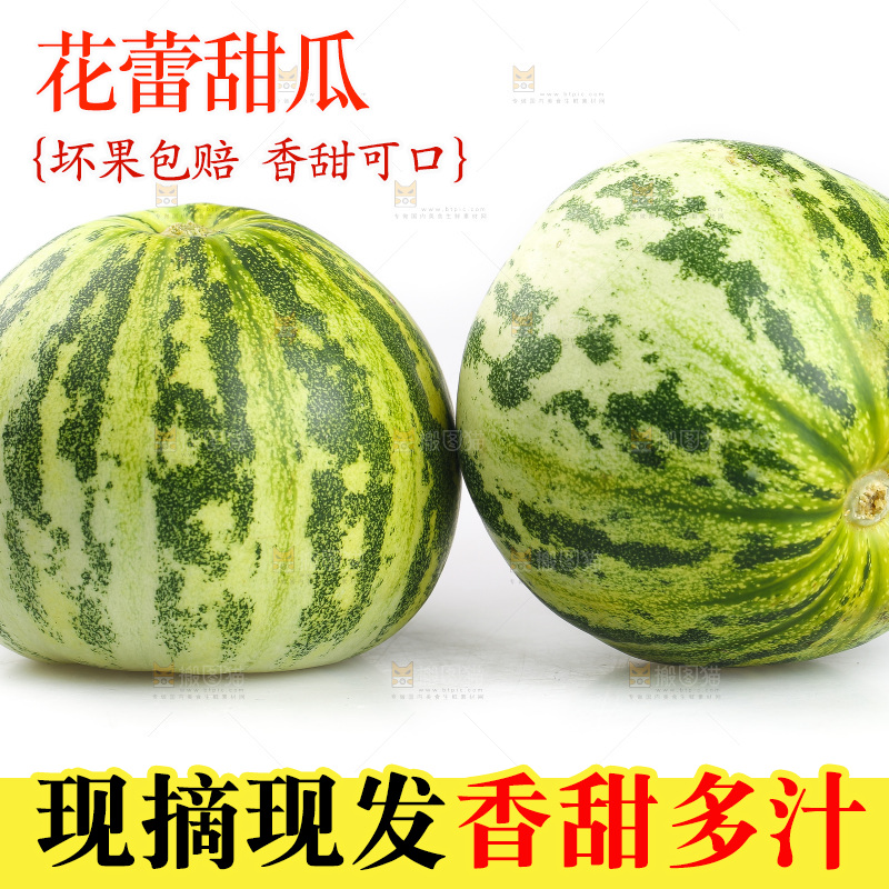 白底上的花蕾甜瓜