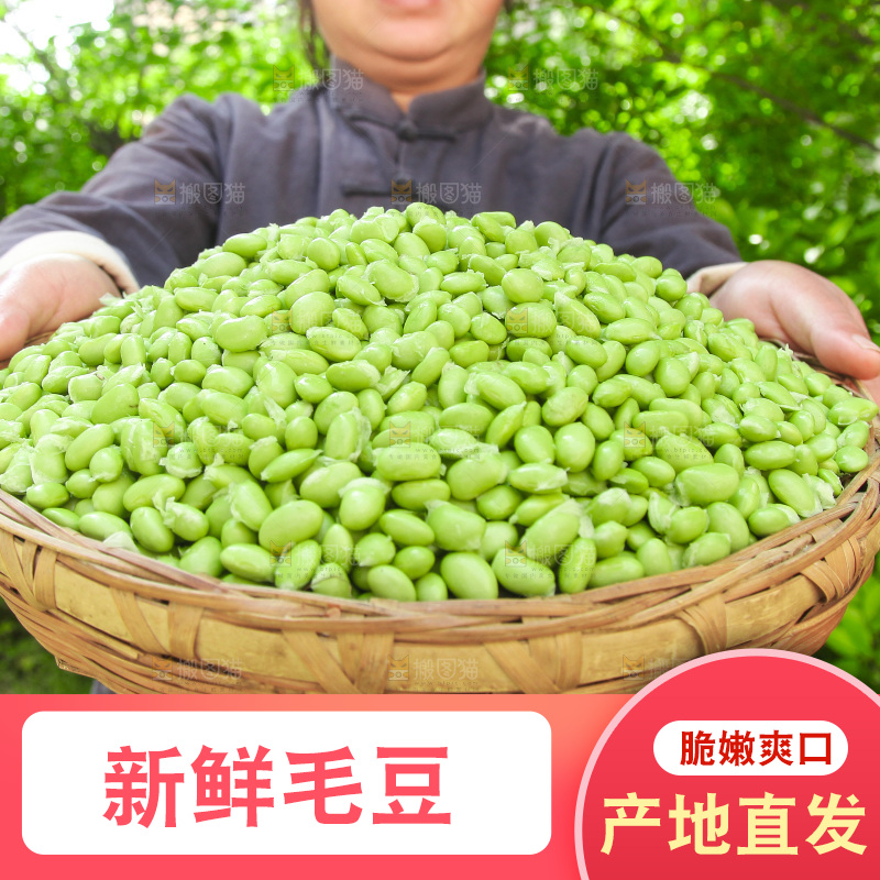手里拿着毛豆