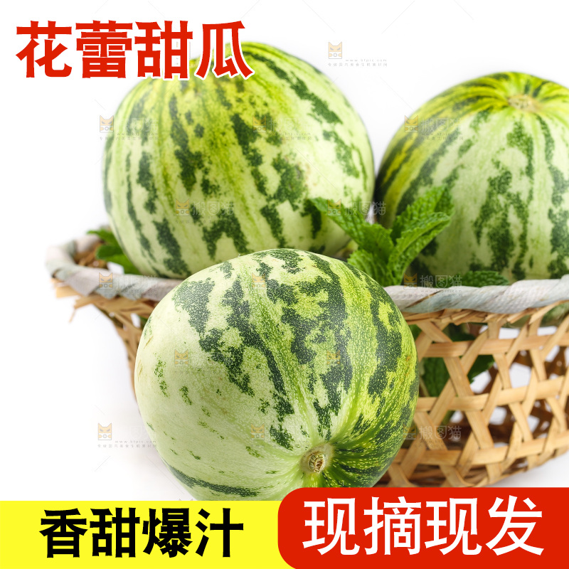 白底上的花蕾甜瓜
