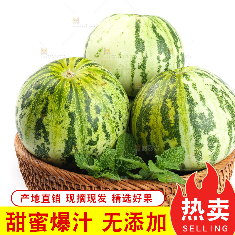 白底上的花蕾甜瓜