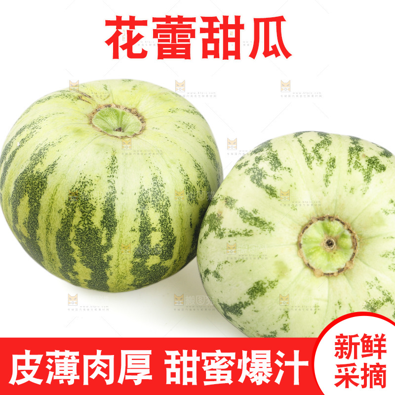 白底上的花蕾甜瓜