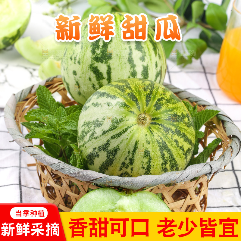 浅底上的花蕾甜瓜